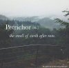 petrichor..jpg