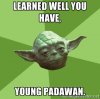 yoda meme.jpg