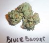 bruce-banner-3.jpg