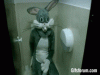 bunny.gif