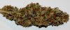 BR2-Bud-Cured-11-15-2015-1.JPG