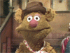 fozzie.gif