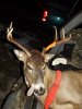 bob's deer 11-30-15 004.JPG