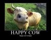 Happy cow.jpg