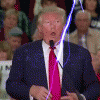 Electro-Trump.gif