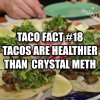 taco fact.jpg