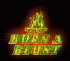 531786-burnblunt.gif