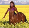 womorse.jpg