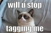 grumpycat-tagging.jpg