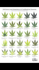 leaf guide defincies.png