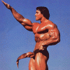 arnold.gif