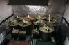 Grow2Day11Transplanted.jpg