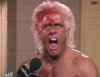 wwf_wrestlemania8_flair.jpg