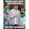 essay-funny-lol-snitch-Favim.com-2756046.jpg