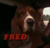 smokey-bandit-fred.jpg