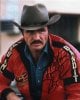 a97978_burtreynolds.jpg