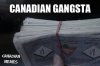 canadiangangsta.jpg