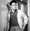 Elvis-Presley-Style-Picture-King-Creole-Harrington-Jacket.jpg