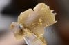 bubbleberry_rosin_1_web.jpg