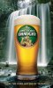 Lion - Boags Draught 2011 - Alison Dunlop.jpg