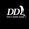 dds logo.jpg