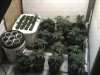 veg room.jpg