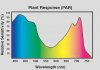 PAR Spectrum Graph.jpg