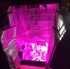 grow tent LED on.JPG