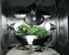 Aerogarden.25days.4.jpg