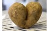 potato-heart_1475403i.jpg