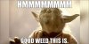 starwars-yoda.jpg