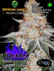 the-ethos-collective-blackfire-084 (original).png