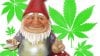 stoner-gnomes-header-610x343.jpg