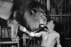 lion-taming-1-622x415.jpg