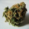 Signs-of-airy-buds-marijuana.jpg