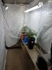 veg room.jpg