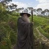 gandalf-in-hobbiton.jpg