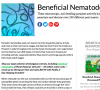 Benefical Nematode.png