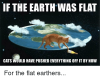 if-the-earth-was-flat-cats-would-have-pushed-everything-21413617.png