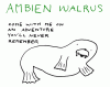 ambien-walrus-adventure.gif