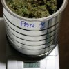 Panama-P4-Buds-WeighIn-1.JPG