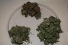 Dry Bud 3way.jpg