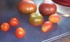 cherokee cherry and romas.jpg