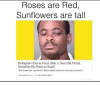 roses-are-red-sunflowers-are-tall-pedophile-cries-in-court-13238389.png