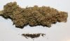 SkunkNo1-P7-Bud-FingerHash-1.JPG