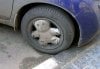 teddy-bear-rims-see-pics.jpeg