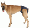 k9316.gif