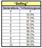 selfing_homozygous.png