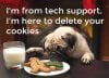 funny-dog-xmas-pics10.jpg