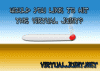 virtualjoint004.gif